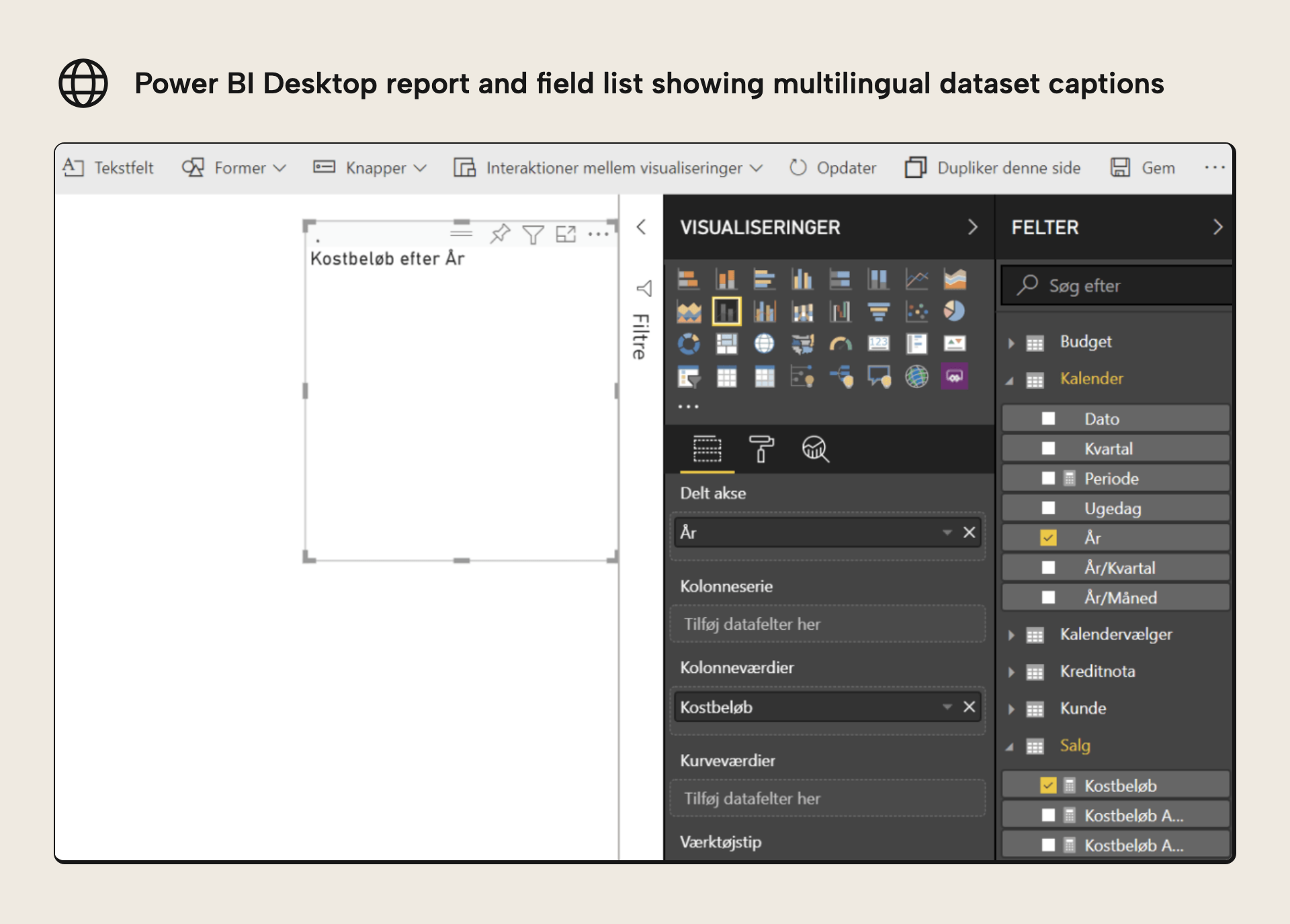 Multilingual dataset captions observed in the Power BI service field list and report visuals